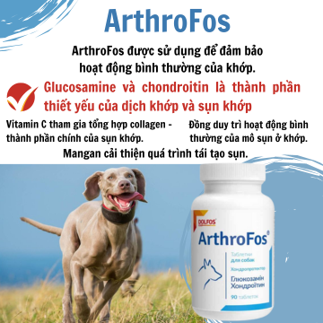 ArthroFos - Giúp hoạt động khớp bình thường cho chó