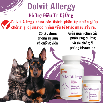 Dolvit Allergy - Hỗ trợ điều trị dị ứng cho chó mèo