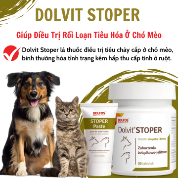 DOLVIT STOPER - Điều trị rối loạn tiêu hóa, tiêu chảy cấp