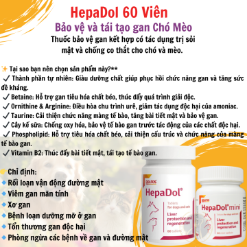 HepaDol 60 Viên - Bí Quyết Bảo Vệ Sức Khỏe Gan Của Chó Mèo
