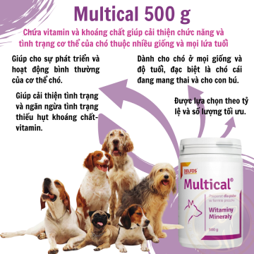 DOLFOS Multical 500G- Sản phẩm bổ sung dinh dưỡng toàn diện cho chó cưng
